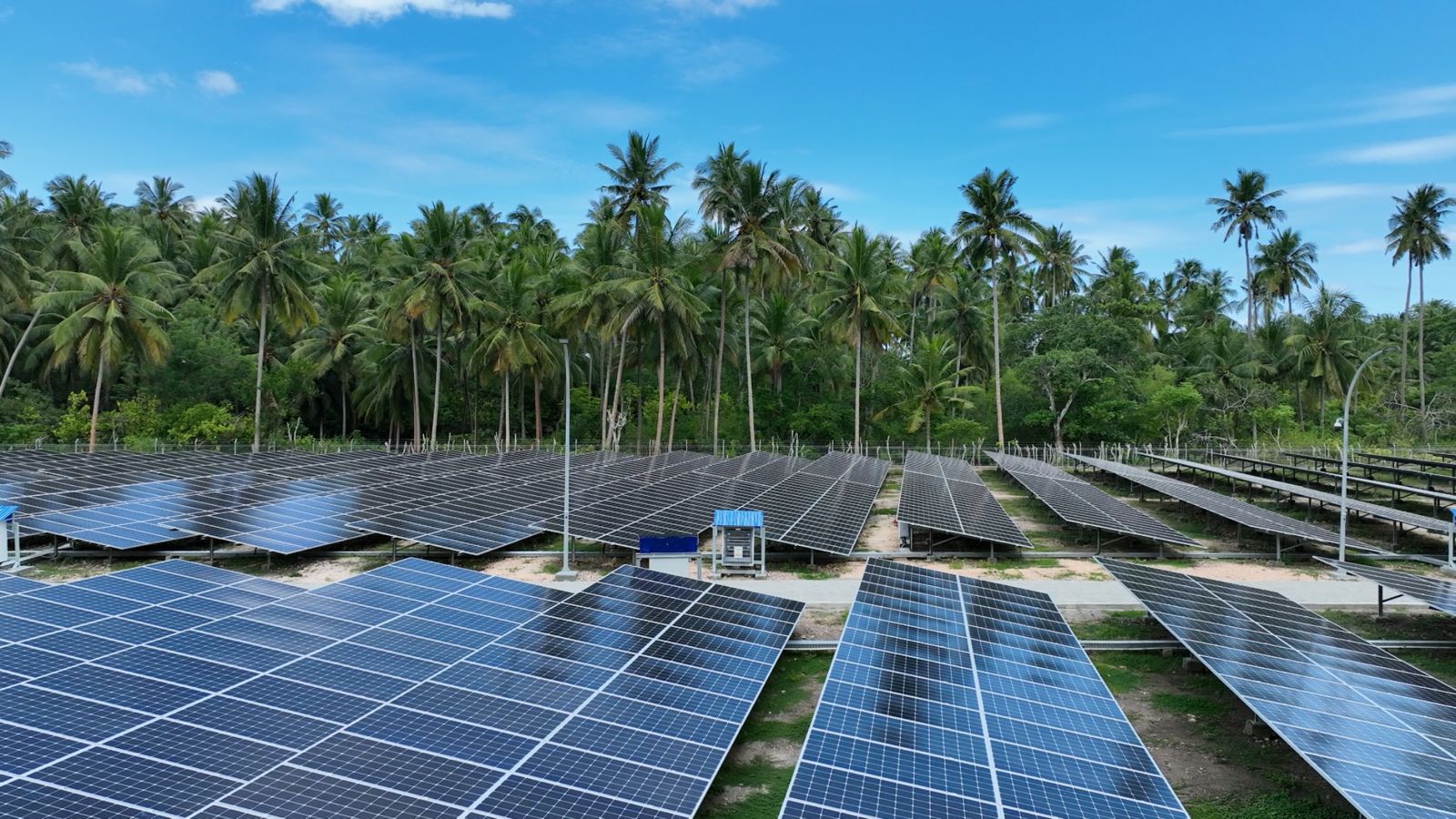 Terobosan Energi Terbarukan PLN Dan Mitra Luncurkan PLTS Ground