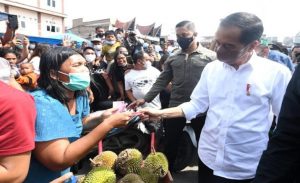 Ini Penjelasan Istana soal Kerumunan Warga Sambut Jokowi di Pasar Porsea