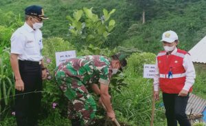 Brantas Abipraya Berkolaborasi Menghijaukan Desa Cibeureum, Bogor