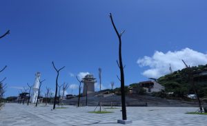 Waterfront Ikon Baru Labuan Bajo, Karya Brantas Abipraya
