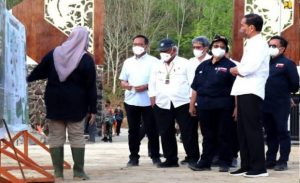 Reboisasi IKN Nusantara dengan 20 Juta Bibit Pohon