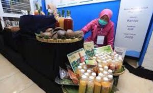 Tahun ini, BRI Targetkan Dapat Salurkan 60 Persen Jatah KUR ke Sektor Produktif