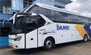 Ini Syarat Perjalanan Mudik Lebaran 2022 Jika Menggunakan Bus Damri