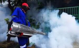 Inovasi Jadi Kunci Pencegahan Dengue di Tengah Pandemi