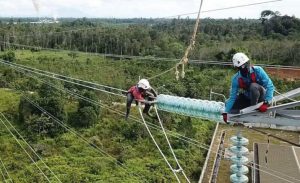 PLN Bangun 12 Infrastruktur Listrik di Kalbar dan Kalteng