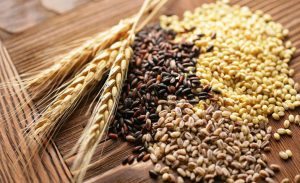 Stok Gandum Indonesia Masih Aman hingga 3 Bulan Kedepan