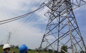 PLN Bangun 2 Gardu Induk untuk IKN Nusantara