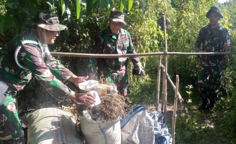 Saat Latihan, TNI Temukan 70 Kg Ganja Kering di Kaki Gunung Seulawah