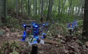 Penelitian Terbaru: Drone Ternyata Bisa Terbang Mandiri Lintasi Hutan