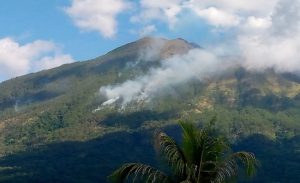 Kebakaran Hutan di Gunung Ile Boleng Adonara Terjadi karena Ulah Warga