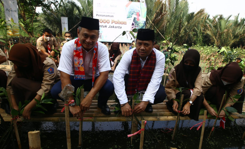 Rayakan HUT DKI Jakarta, Apical Group Bersama Pemprov DKI Tanam 3 Ribu Mangrove