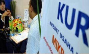 BRI Sudah Salurkan 41,12 Persen dari Total Plafon KUR