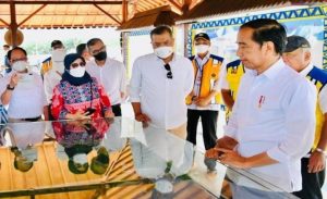Presiden Jokowi Kunjungi Proyek Bendungan Sepaku Semoi Garapan Brantas Abipraya