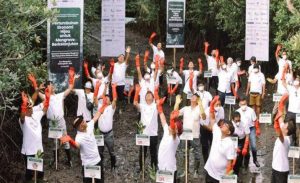 BSI Ajak Industri Jasa Keuangan dan OJK Tanam Pohon Bakau di Pesisir Pantai Bali