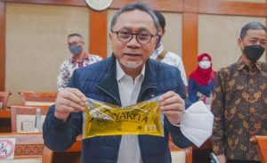 Besok, Ada 28 Produsen Luncurkan MinyaKita Rp14 Ribu Per Liter