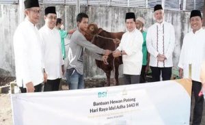 Wabah PMK Merebak, Transaksi Kurban Melalui BSI Meningkat