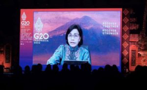 Indonesia Bersama 10 Negara Kerja Sama Perangi Penggelapan Pajak