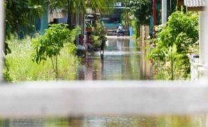 Waspada, Kepri Berpotensi Dilanda Banjir Rob