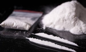 Gagalkan Ekspor Biji Kokain, Polisi Bekuk Satu Orang Pengedar