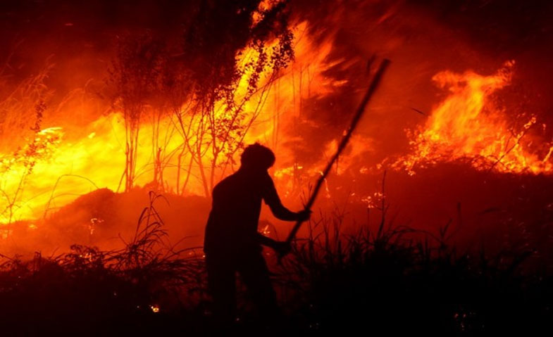 Kebakaran di Gudang Penyimpanan Barang Online Tangerang 