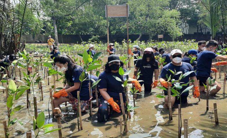 KMPG Indonesia Bersama Komunitas Mangrove Jakarta Tanam 500 Mangrove di Ekowisata PIK