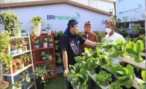 Program BRI Menanam Dilaksanakan Bertahap hingga Tahun Depan