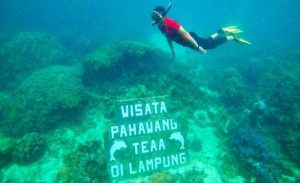 Pulau Pahawang Masuk 50 Besar Anugerah Desa Wisata Indonesia 2022