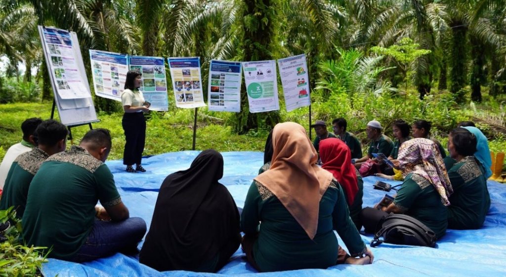 Musim Mas Berdayakan Petani Sawit Swadaya Melalui Program Training for Smallholders