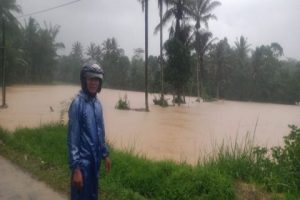 Banjir dan Longsor di Sukabumi, 19 Hektare Sawah Terancam Gagal Panen