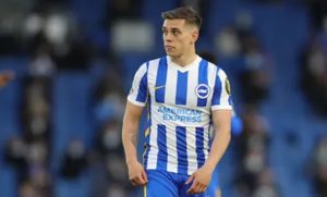 Leandro Trossard akan Gabung Chelsea Usai Piala Dunia