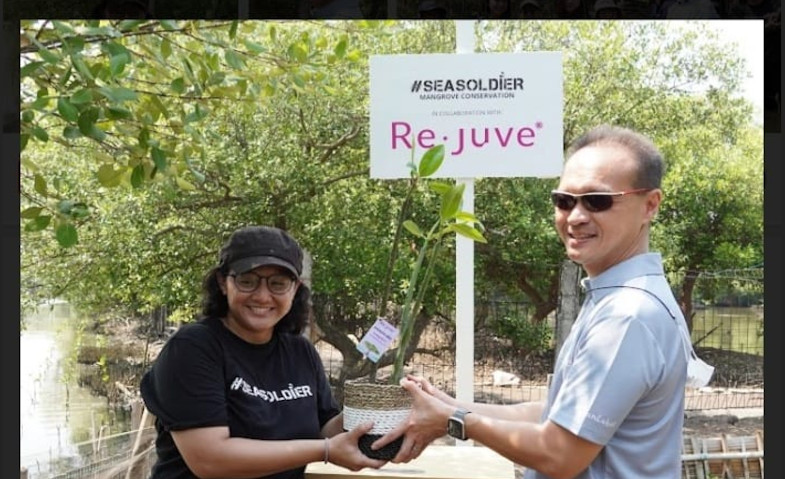 Re.juve Tanam 2.500 Bibit Mangrove Bersama Seasoldier