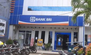 BRI Resmi Jadi Bank Operasional Valas Pemerintah