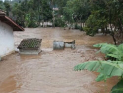 Diterjang Banjir Bandang, 4 Desa di Malaka Barat Terendam Banjir 1 Meter