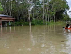 Sepanjang Tahun 2022, Kecamatan Arut Utara Dilanda Banjir 7 Kali