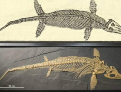 Misteri Kuburan Massal Reptil Laut Raksasa di Nevada Terkuak