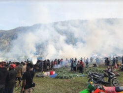 HUT Ke-26 Puncak Jaya, Ribuan Warga Ikuti Prosesi Bakar Batu