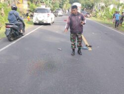 Dua Orang TNI di Bali Dikabarkan Tewas karena Kecelakaan Truk