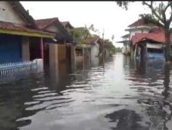 Pekalongan Direndam Banjir Akibat Hujan dan Sungai Meluap