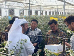 Sukses Kembangkan Teknologi Green House di Gurun, Mentan Ajak UEA Kerja Sama