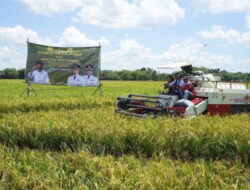 Panen Raya 2023 Dimulai, Mentan: Ketersediaan Beras Saat ini Melimpah
