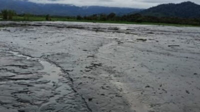 Puluhan Hektar Sawah Rusak Diterjang Lahar Dingin Gunung Kerinci
