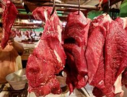 Indonesia Impor 100 Ton Daging Sapi dan Kerbau untuk Ramadhan
