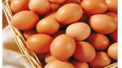 Jelang Ramadan, Harga Telur Ayam Naik, Bapanas Beberkan Alasannya