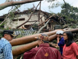 Selama Januari 2023, Ada 24 Bencana Landa Kota Bogor