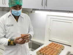Kementan Fasilitasi Ekspor Perdana Crab Cakes ke AS