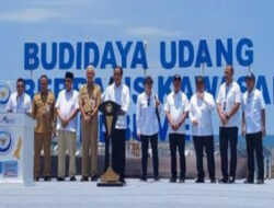 Presiden Resmikan Tambak Udang Rp175 Miliar di Kebumen