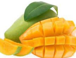 Luar Biasa! Inilah Manfaat Mengonsumsi Mangga Saat Buka Puasa