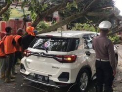 Mobil Perindo Cianjur tertimpa pohon tumbang