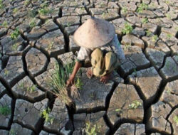 Pemerintah Harus Antisipasi Kemarau Panjang Akibat El Nino