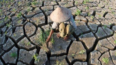 Pemerintah Harus Antisipasi Kemarau Panjang Akibat El Nino